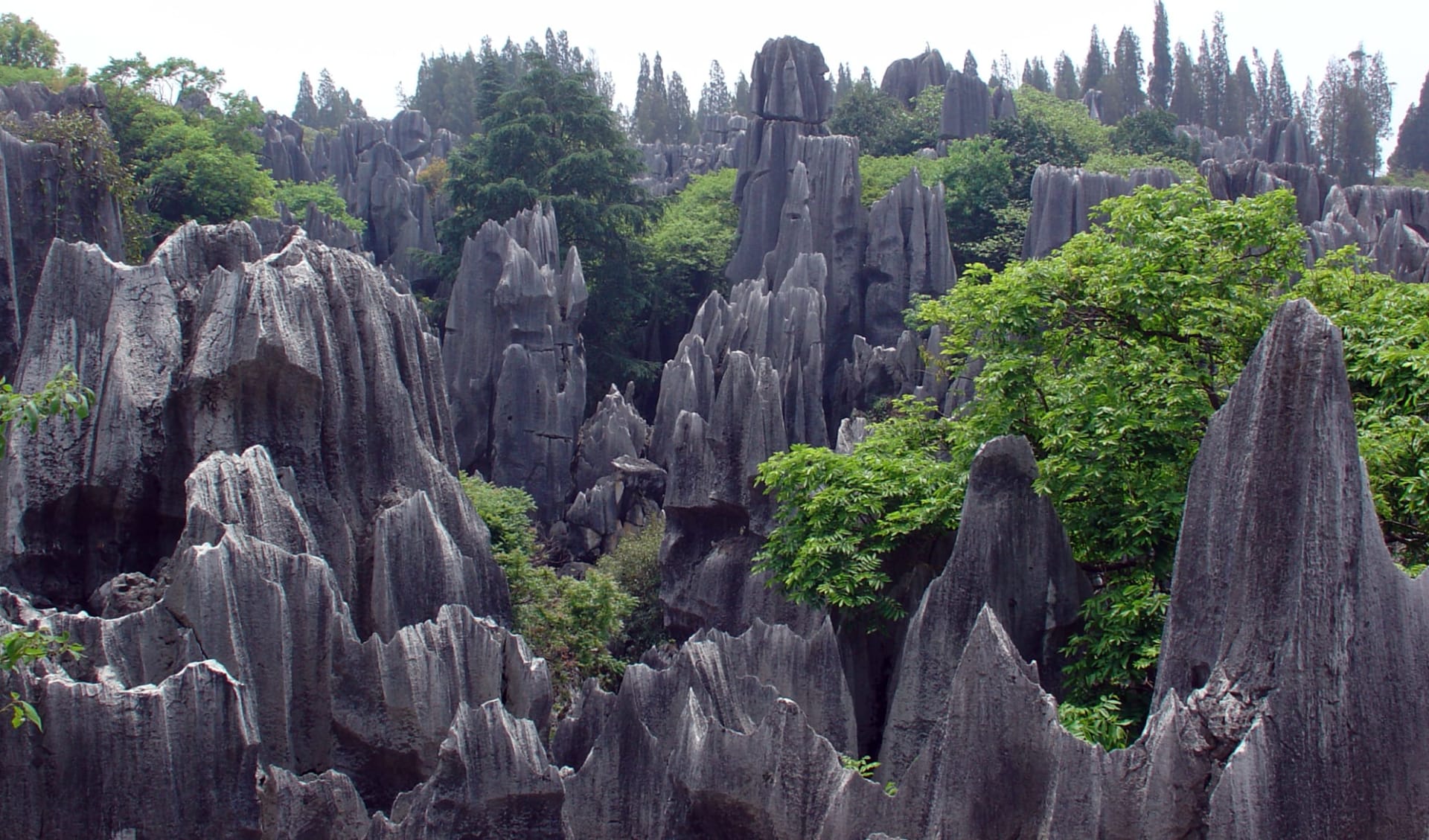 Yunnans unbekannter Süden ab Kunming: Shilin Stone Forest