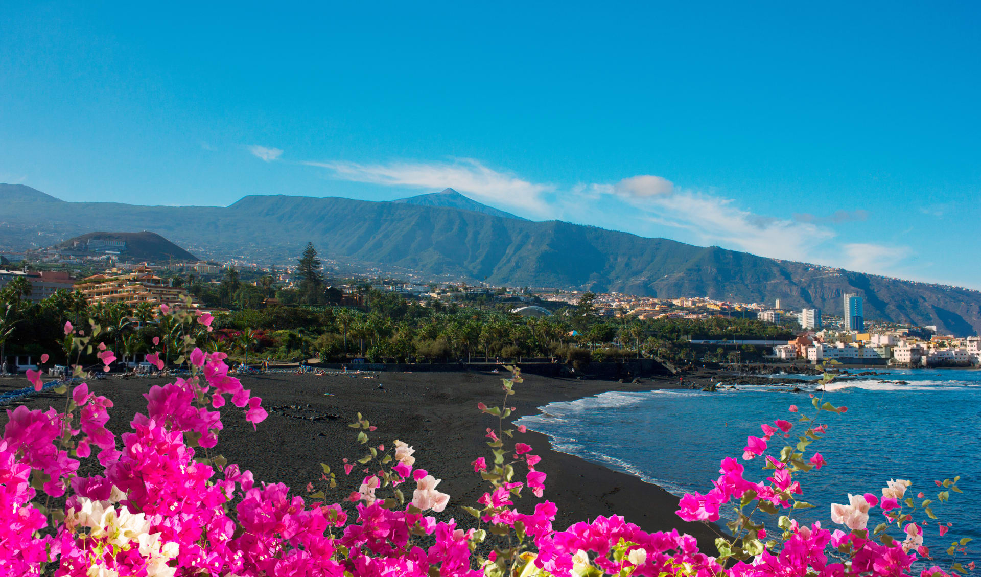 Badeferien im Dreams Jardin Tropical Resort & Spa ab Teneriffa: shutterstock_1125204425_Jardin Tropical_TFS