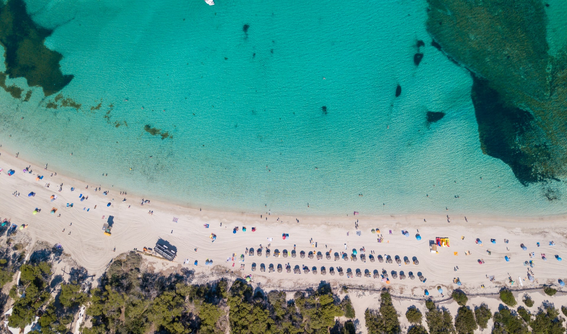 Badeferien im Universal Hotel Marqués ab Mallorca: shutterstock_1376657045_Marquis de Palmer_Sant_Jordi