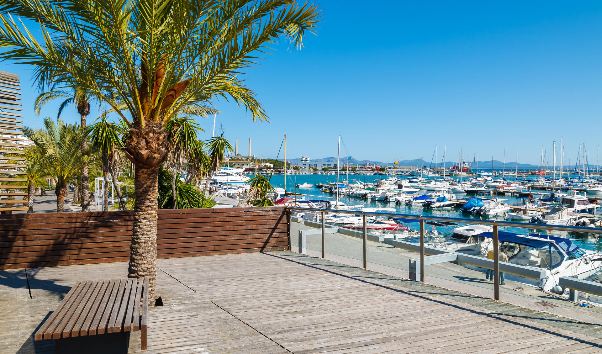 Badeferien im Aparthotel Alcudia Garden ab Mallorca: shutterstock_143127934_Alcudia_Garden