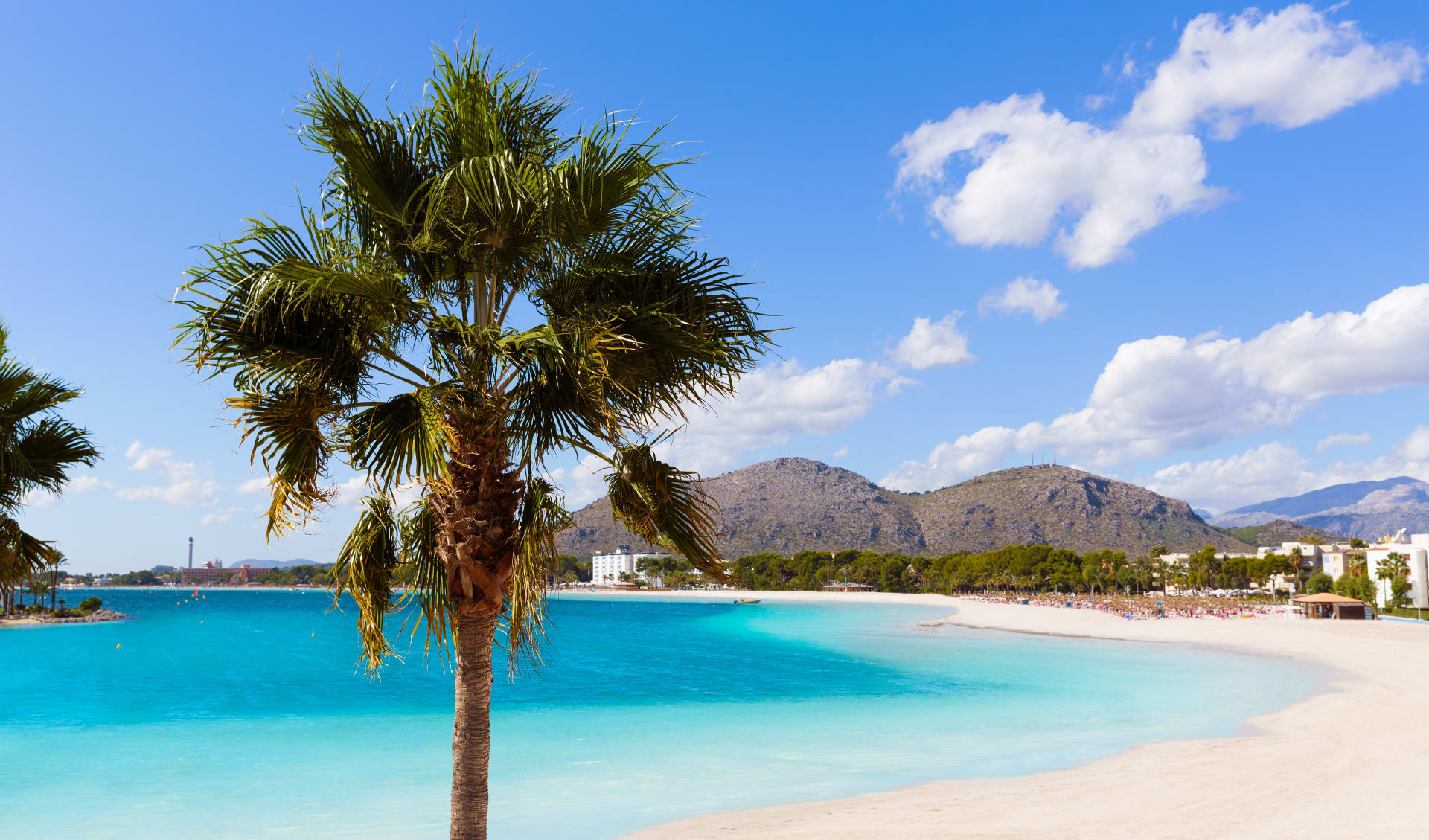 Badeferien im Iberostar Alcudia Park ab Mallorca: shutterstock_274865990_Alcudia_Iberostar_Alcudia