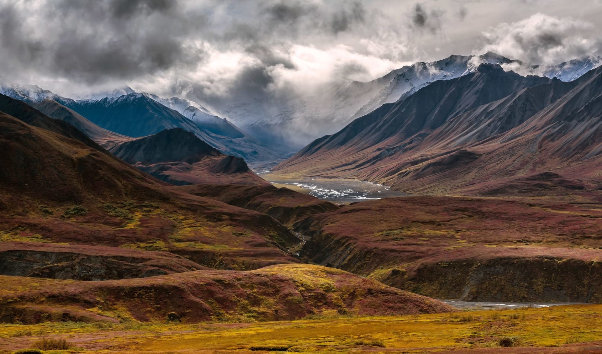 Denali Grizzly Bear Resort in Denali National Park: shutterstock_368733947_denali2