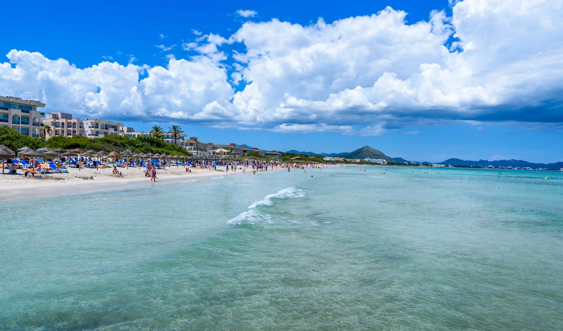 Badeferien im Iberostar Playa de Muro ab Mallorca: shutterstock_499458154_Playa_de_Muro_Iberostar