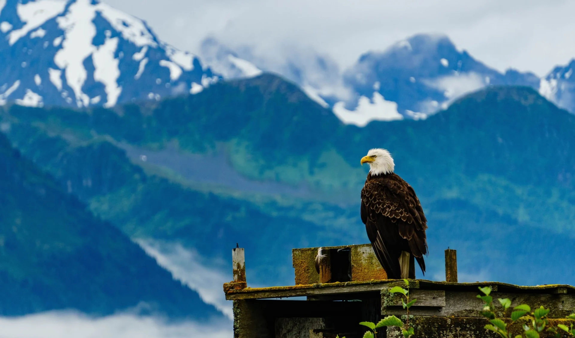 Seward Windsong Lodge: shutterstock_581013004_seward2