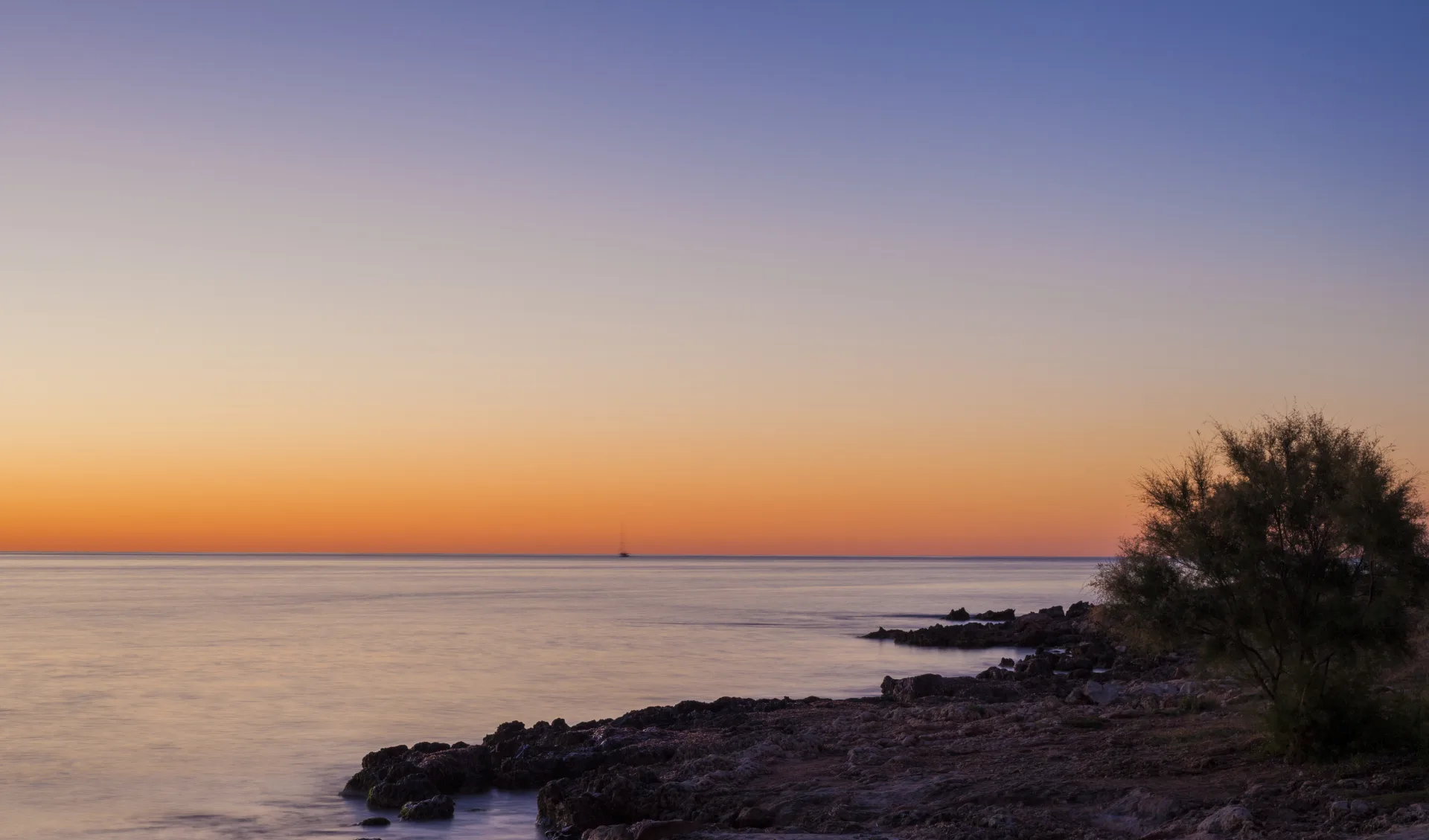 Badeferien im Hipotels Mediterráneo ab Mallorca: shutterstock_678823975_Sa_Coma_ Hipotels Mediterraneo