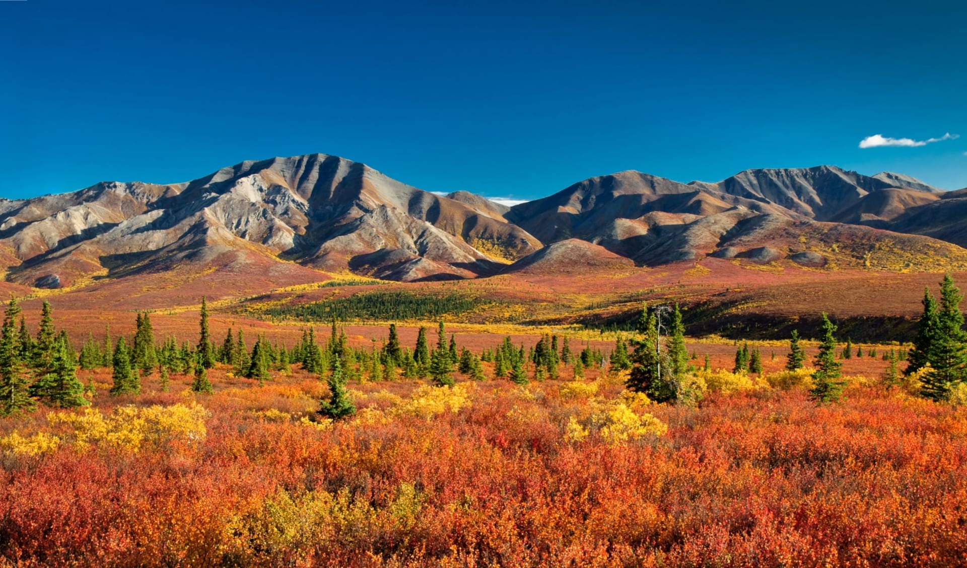 Denali Park Village in Denali National Park: shutterstock_69320140_denali1