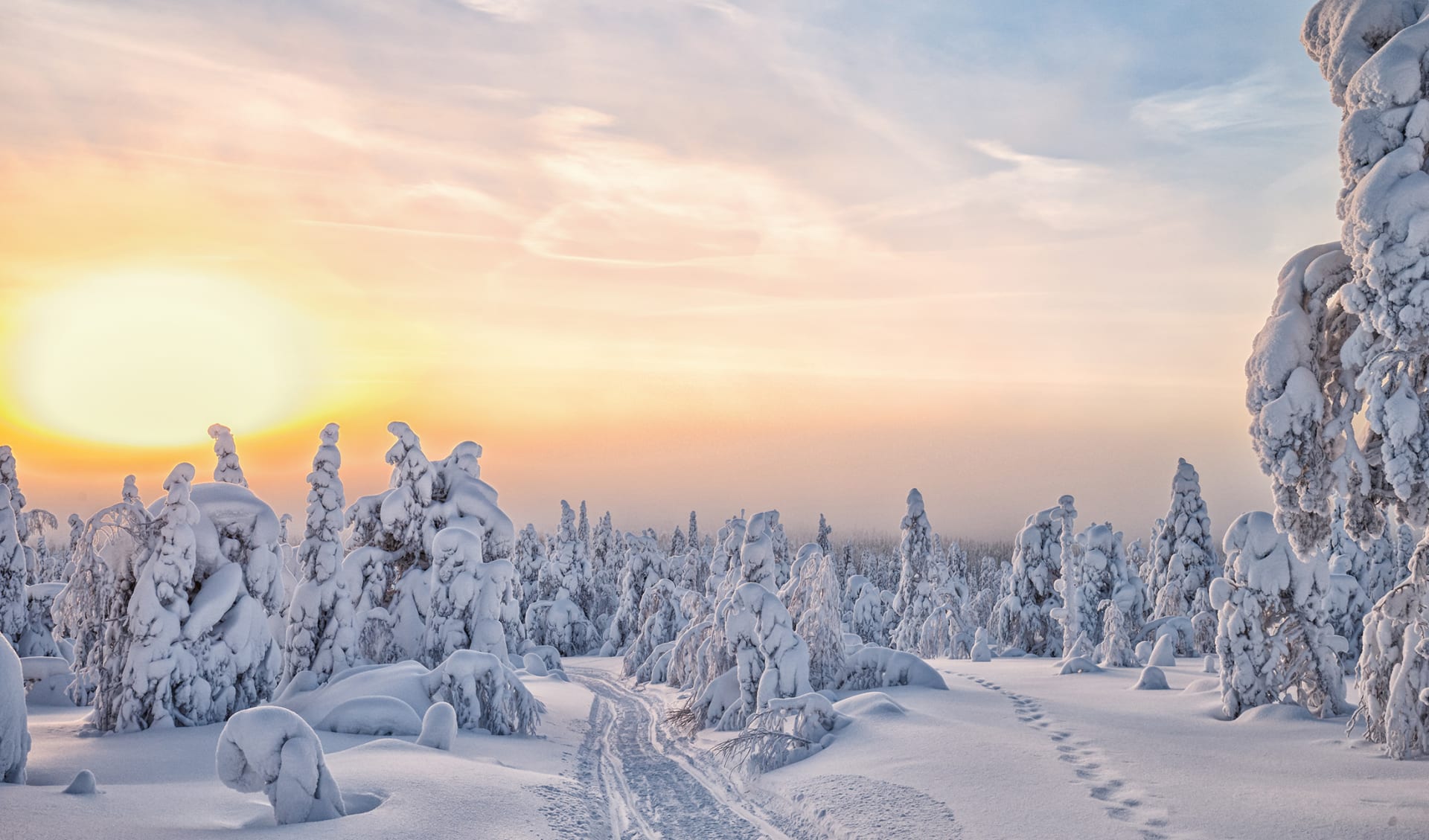 Langlauf, Lappland