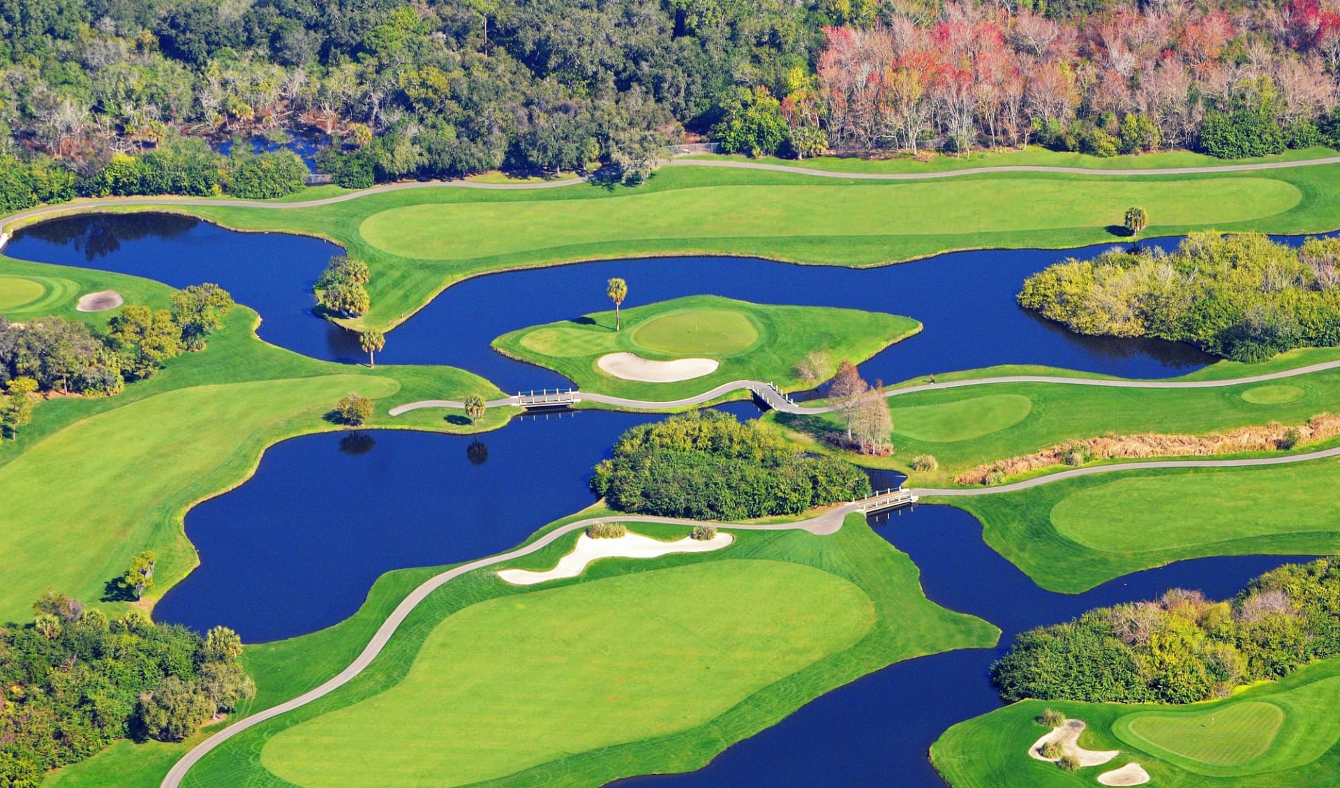 Salamander Spa & Golf Resort Innisbrook in Tampa: Salamander Spa & Golf Resort Innsibrook - North Course