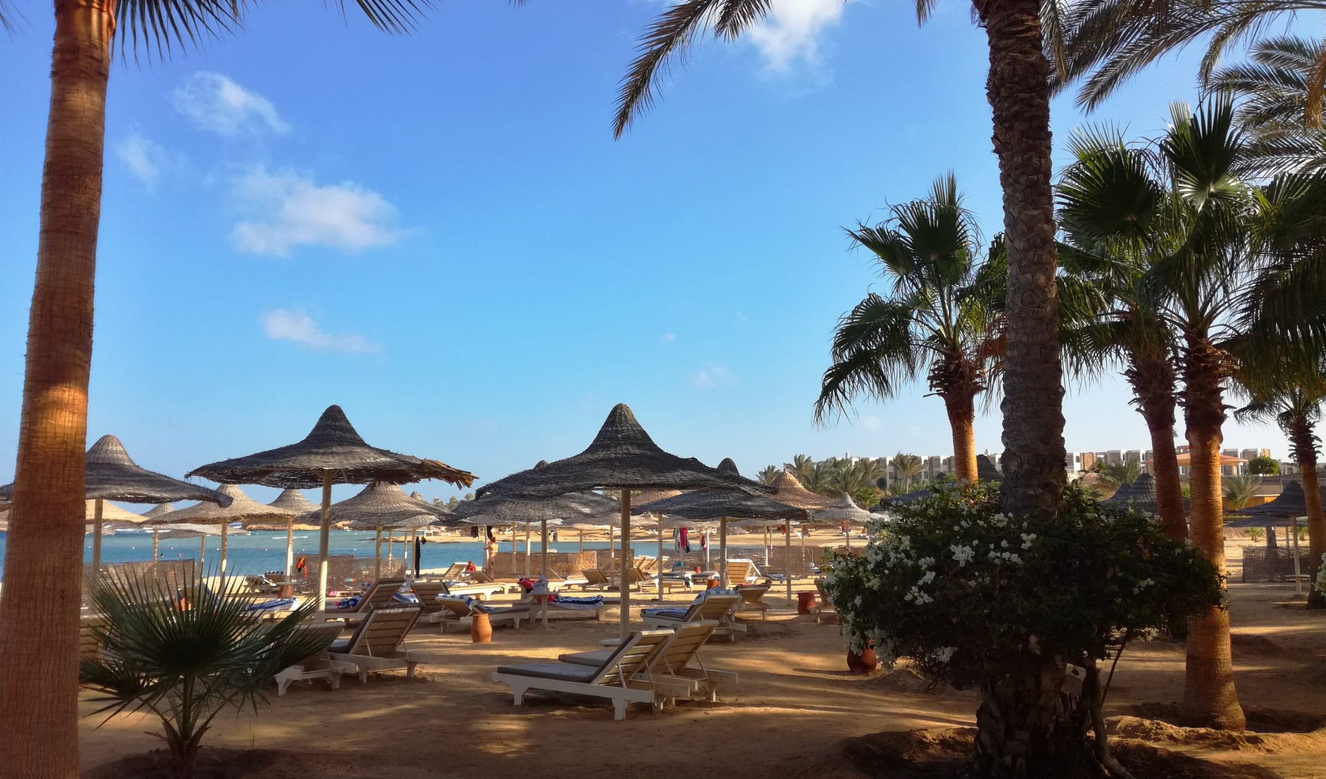 Badeferien im Steigenberger Coraya Beach ab Marsa Alam: Strand Marsa Alam