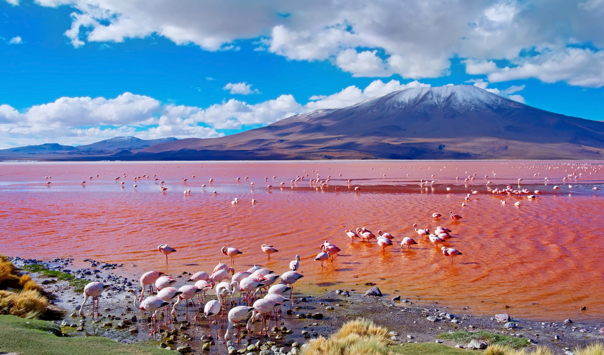 Laguna Colorada , Uyuni, Bolivien