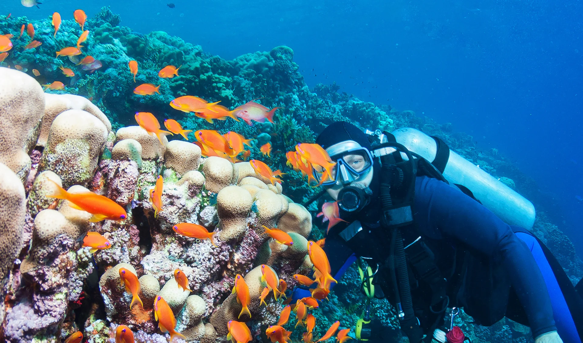 Tauchen, Tauchferien, Fiji