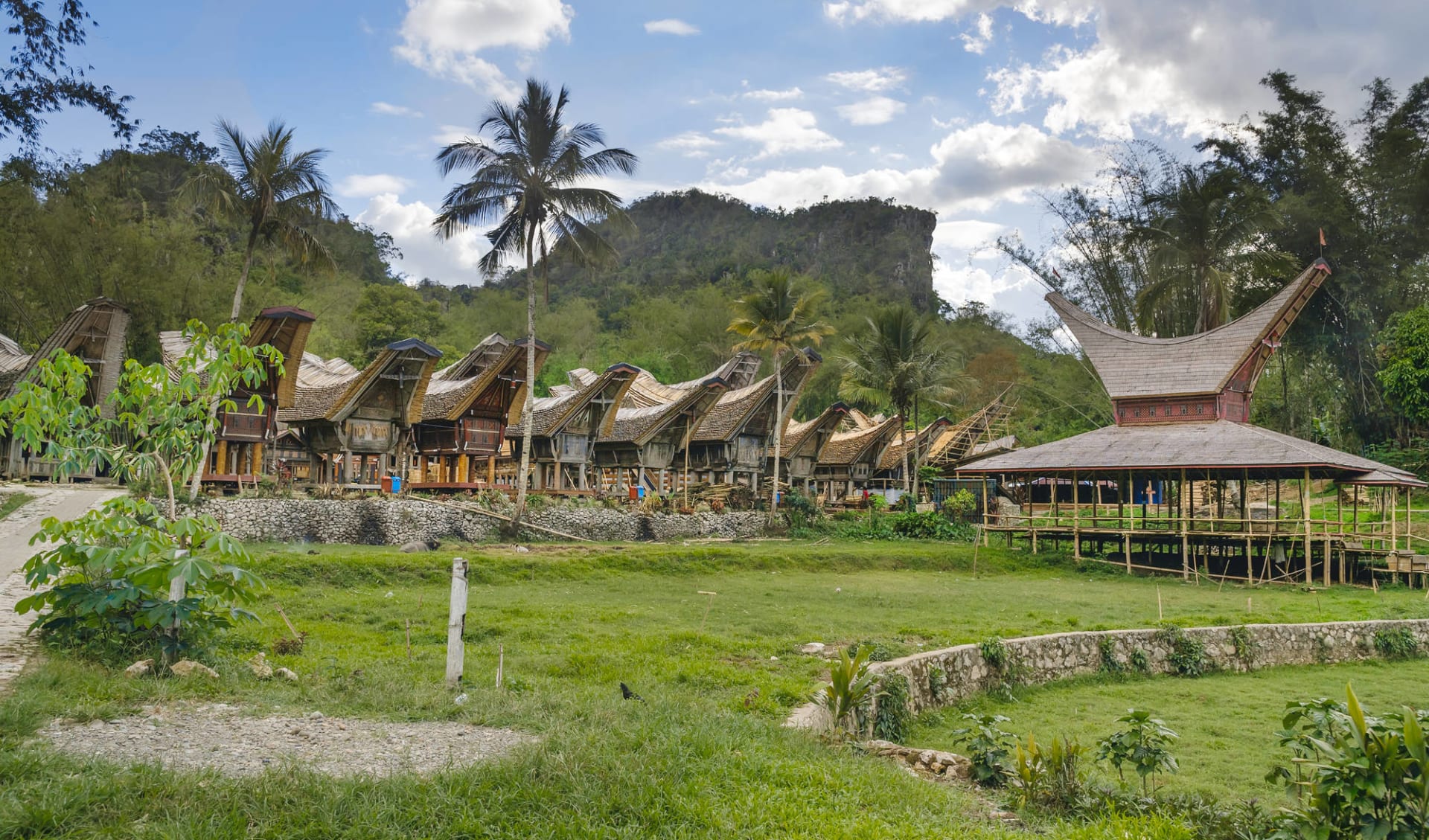 Sulawesi-Torajaland Rundreise ab Makassar: Sulawesi Toraja Tongkonan traditional village Kete Kesu