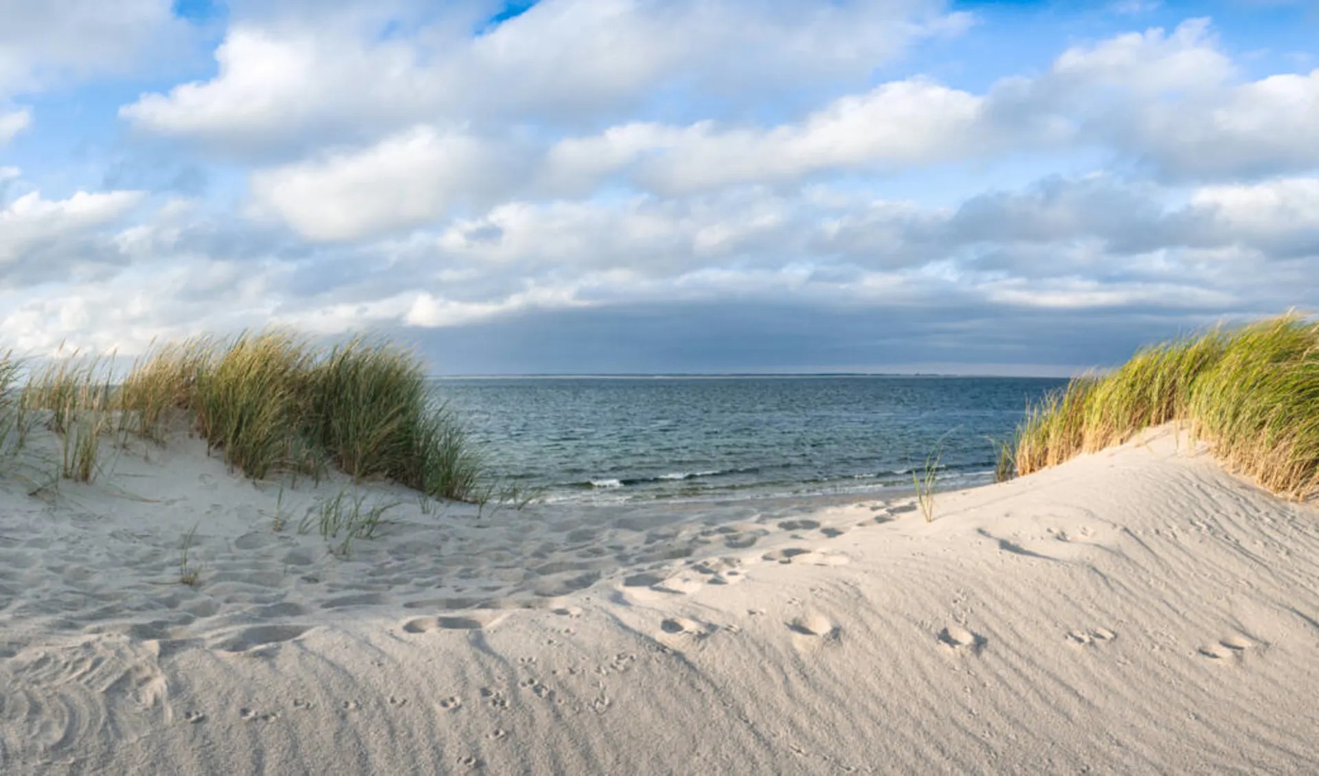 Badeferien im Landhaus Stricker ab Sylt: Sylt_Deutschland_Gras auf den Dünen