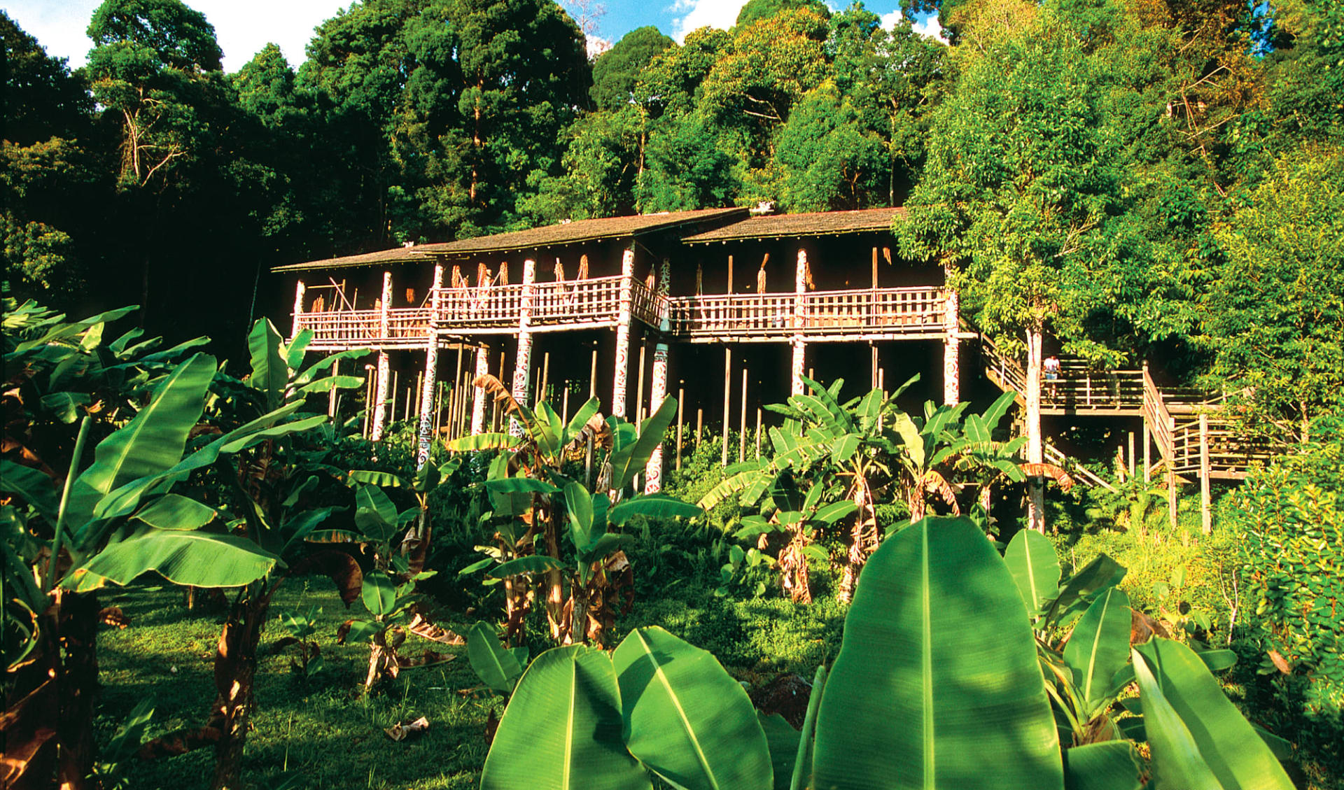 Höhepunkte Borneos ab Kuching: Traditional Longhouse