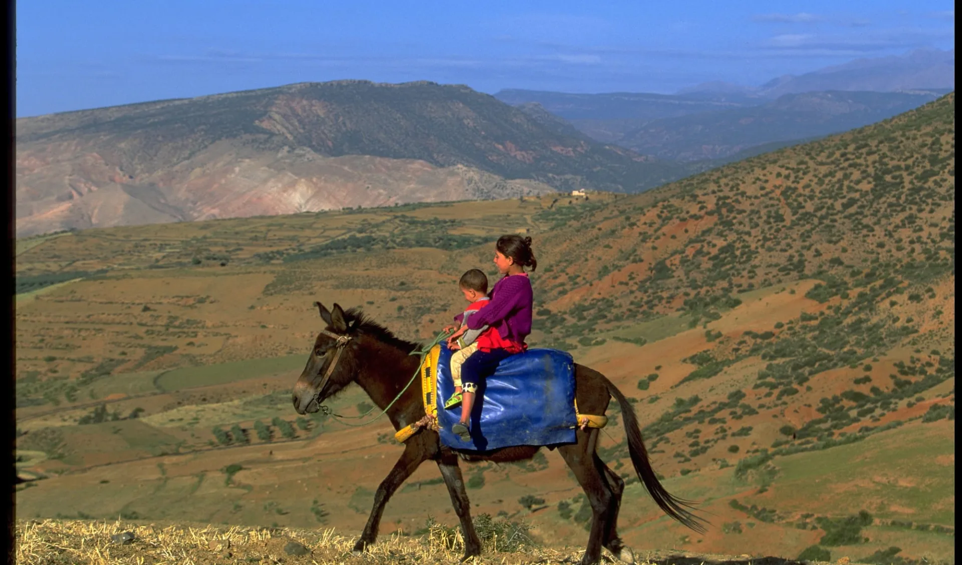 Wandern vom M'Goun Massiv bis ins Rosental ab Marrakesch: Trekking High Atlas with Donkey