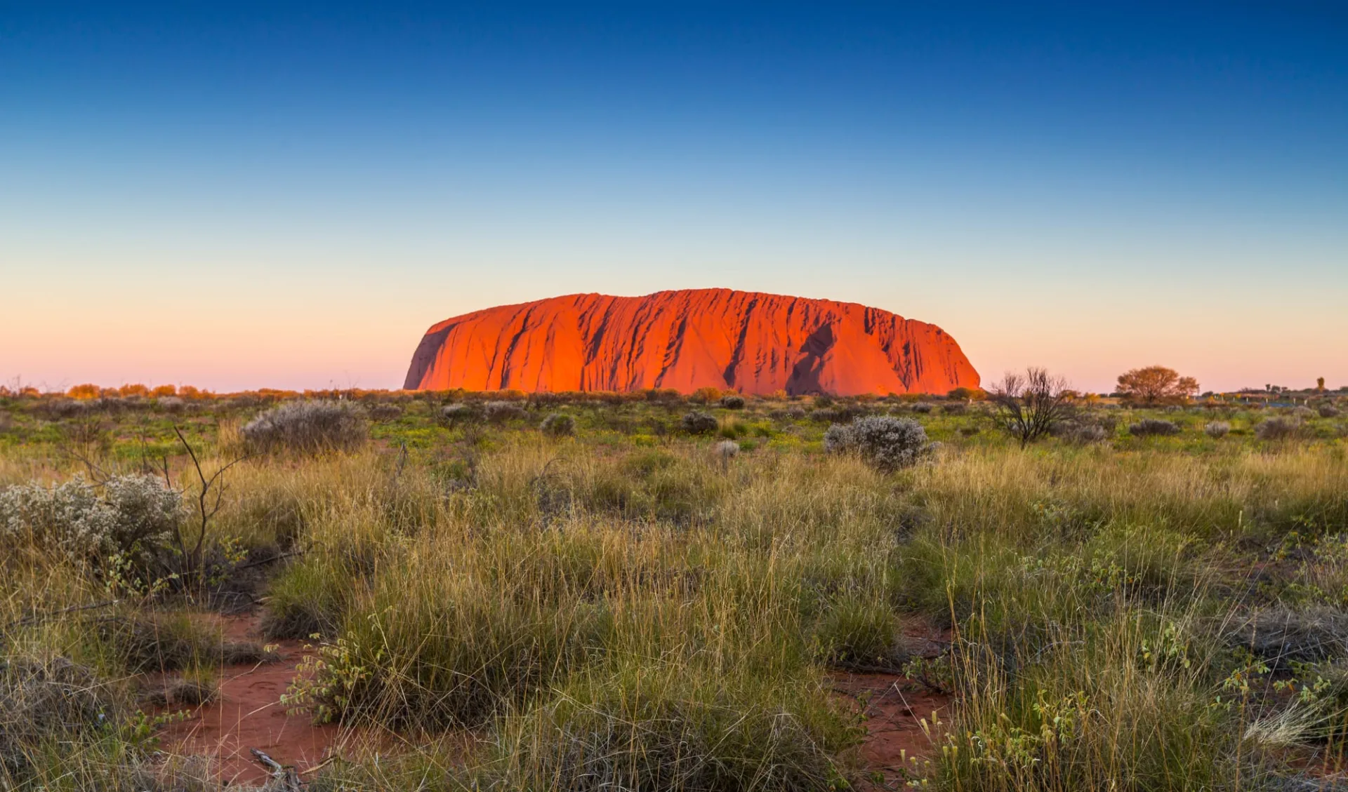 AAT Kings: Kata Tjuta, Uluru & Kings Canyon ab Alice Springs: Uluru NP - Ayers Rock bei Sonnenuntergang