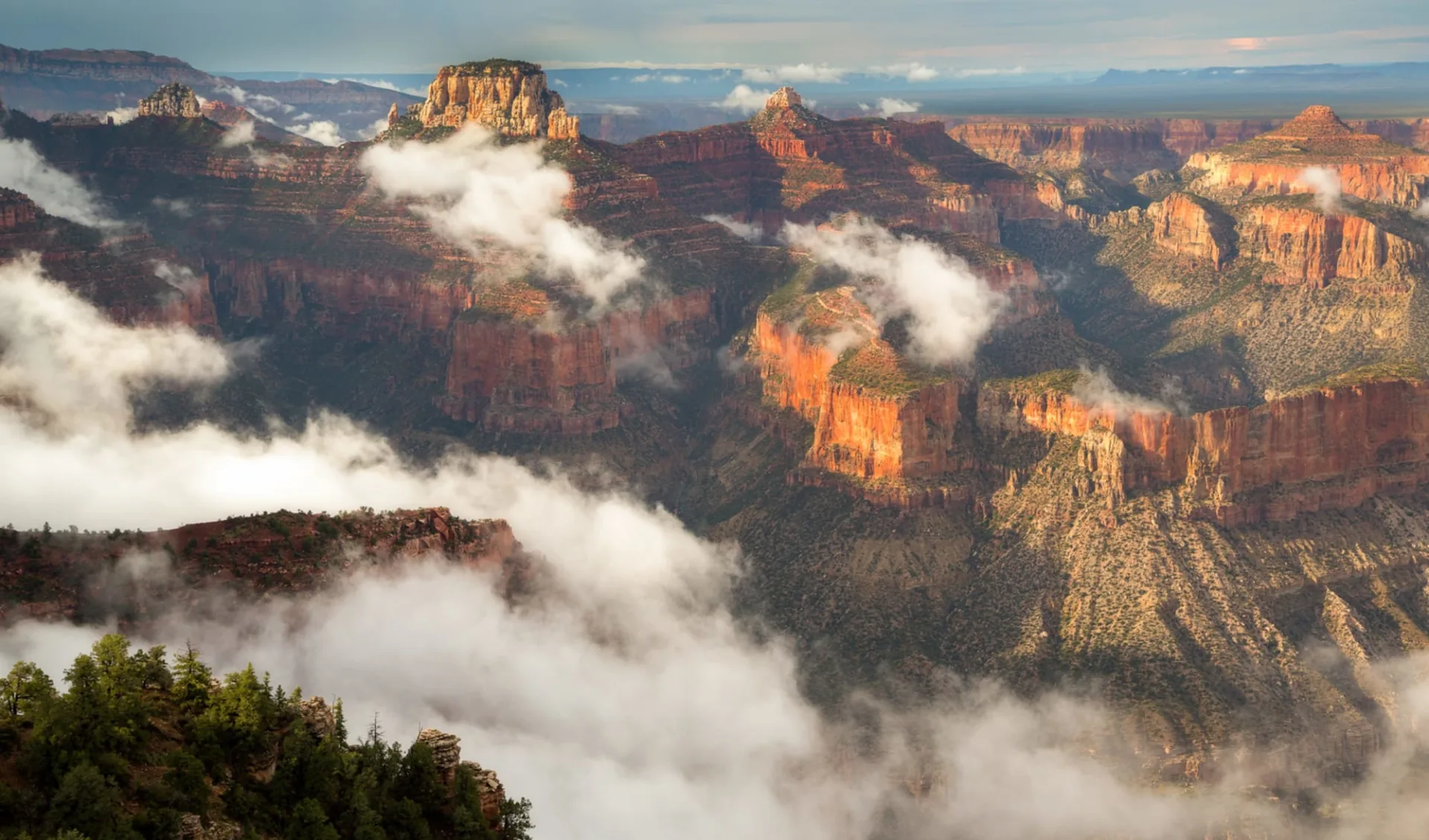 West Coast Insider ab San Francisco: USA - Arizona - Grand Canyon North Rim