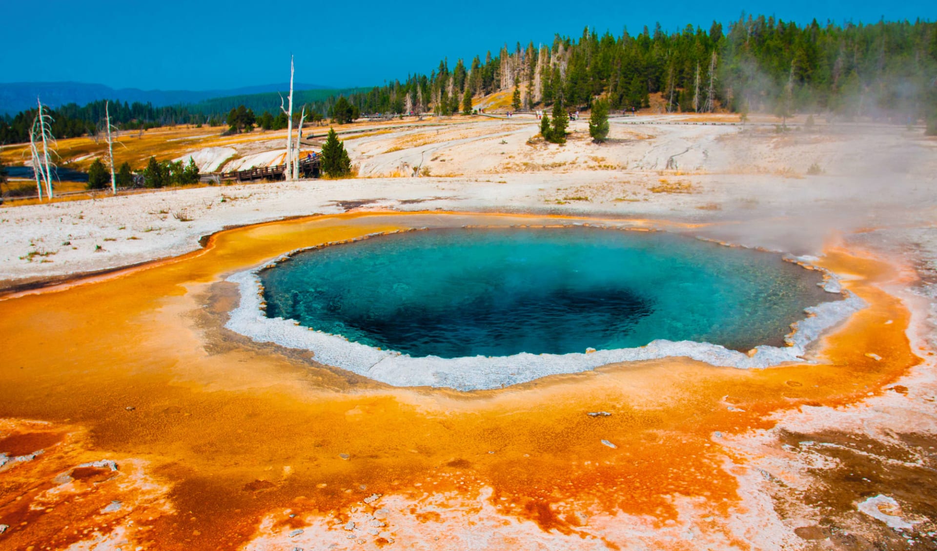 Auf den Spuren des Wilden Westens ab Rapid City: Blue_Hot_Spring_Yellowstone_National_Park_USA