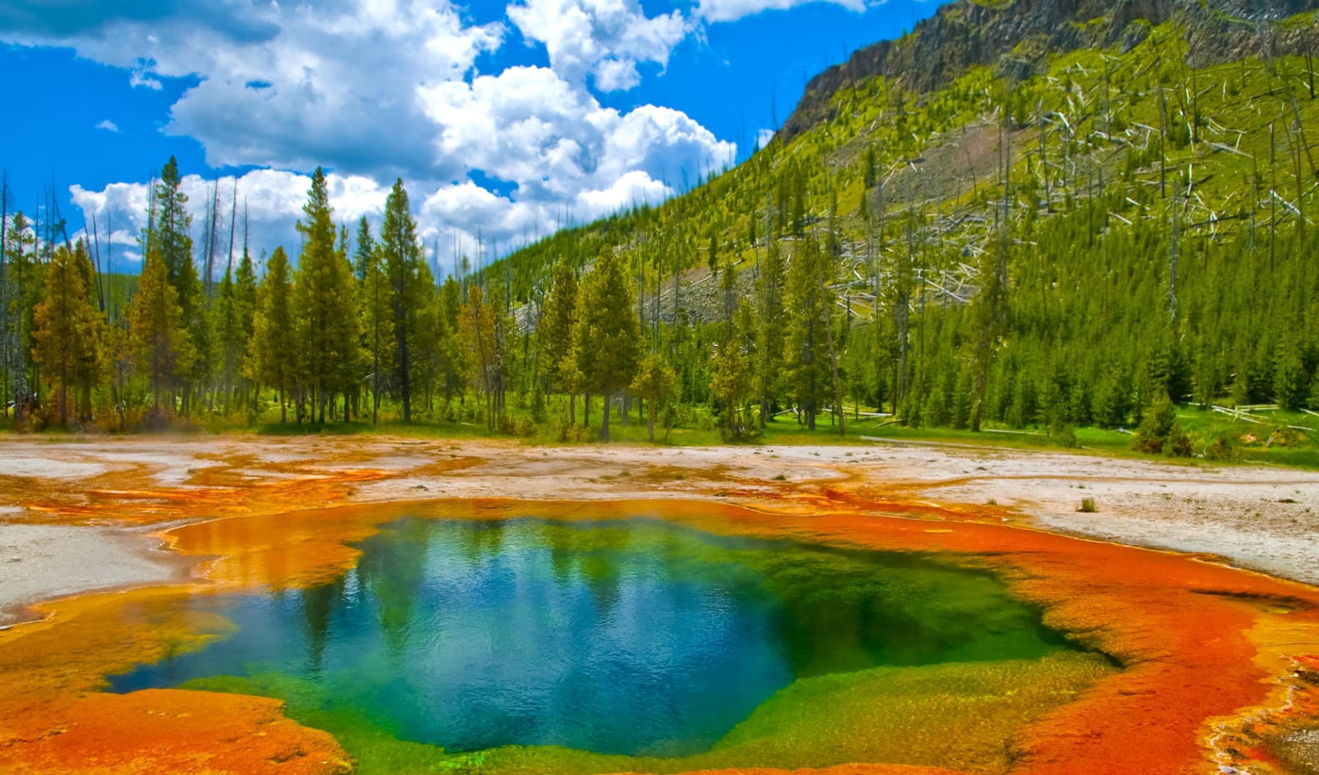 National Parks Discovery ab Seattle: USA_Yellowstone_Geysir_Pool