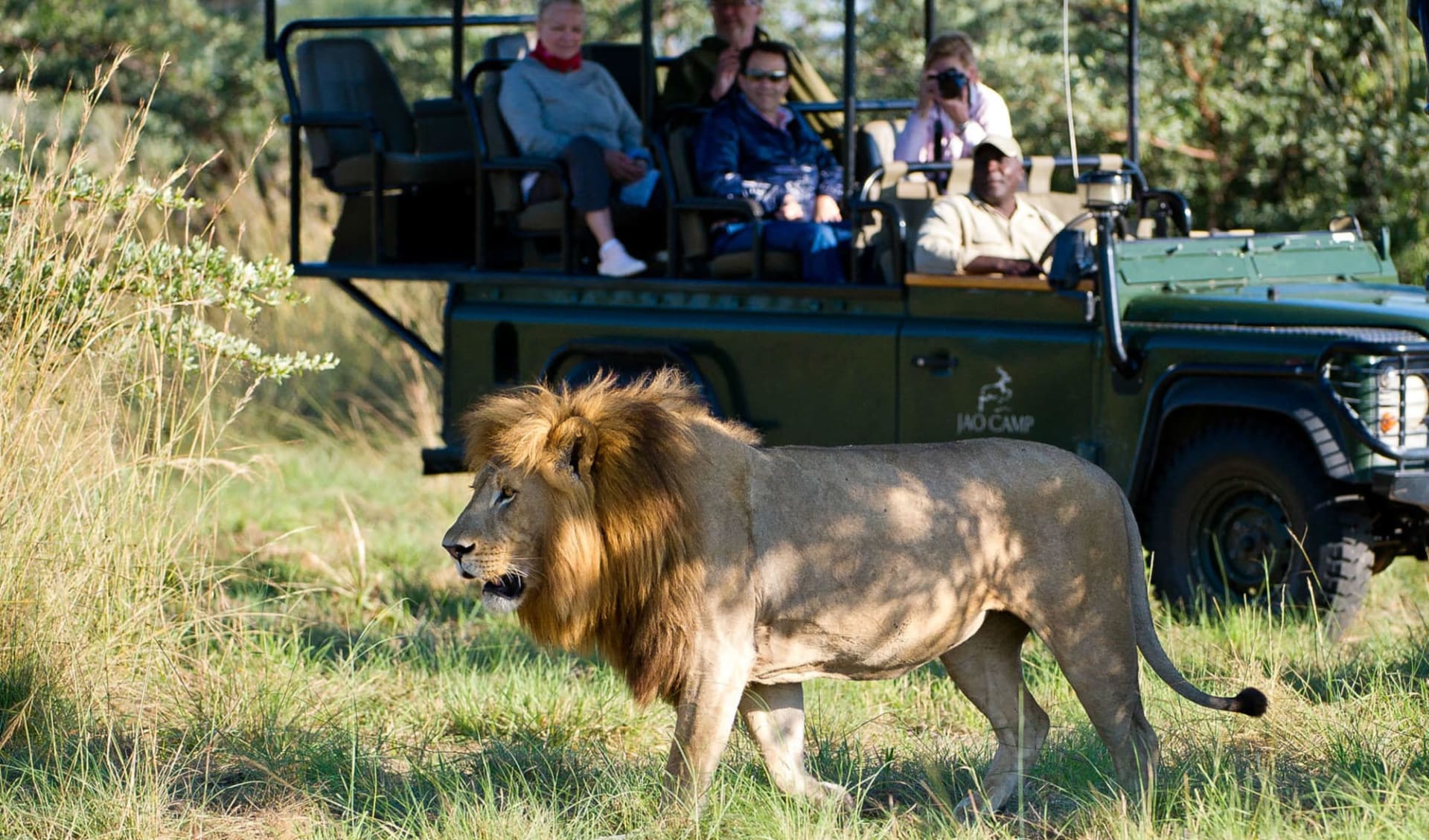 Jao Camp in Okavango Delta: Wilderness Jao_4