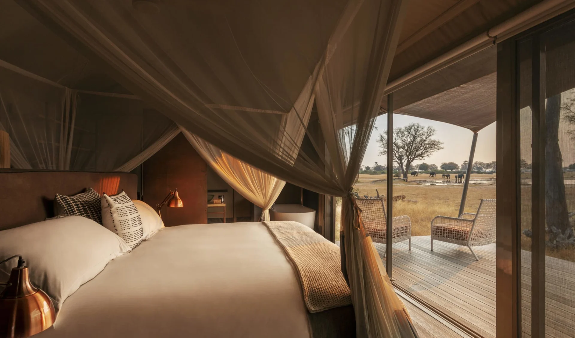 Wilderness Linkwasha in Hwange Nationalpark: Wilderness Linkwasha