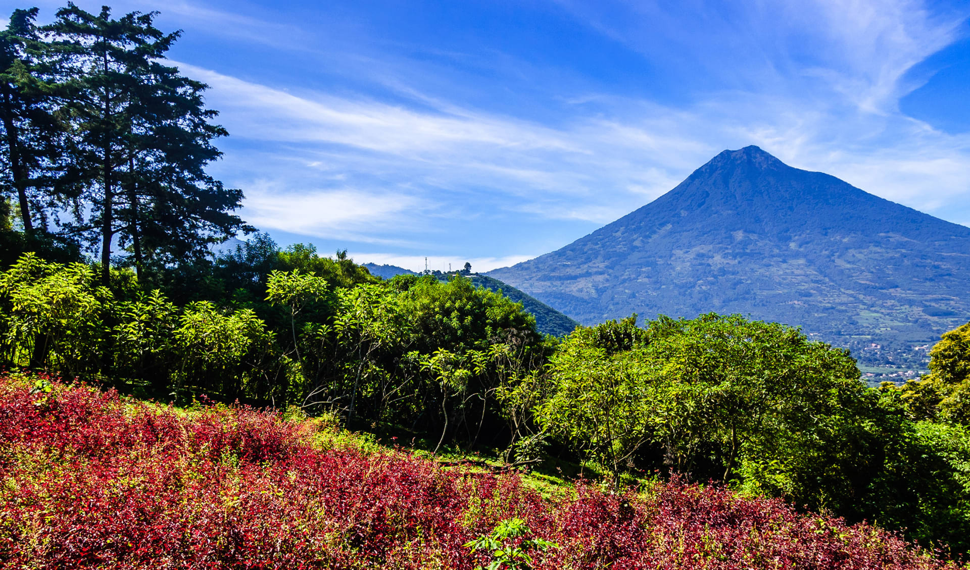 Agua Vulkan, Guatemala