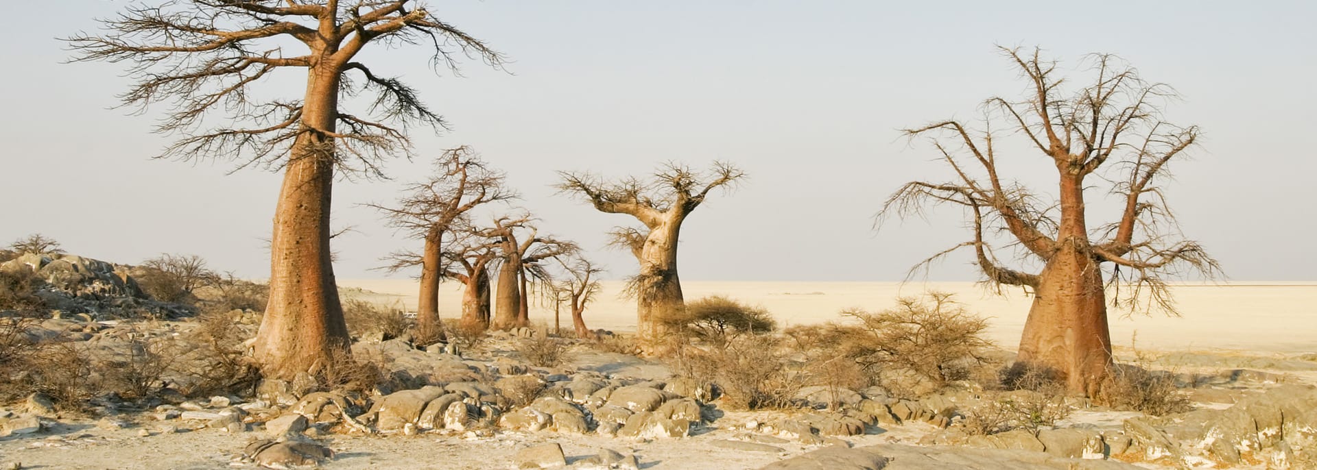 Makgadikgadi, Botswana