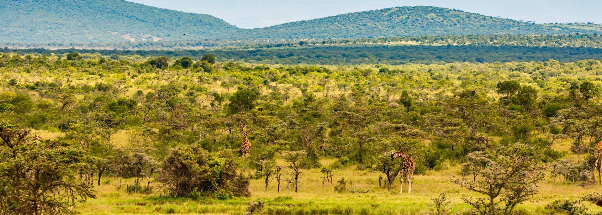 Laikipia Plateau, Kenia