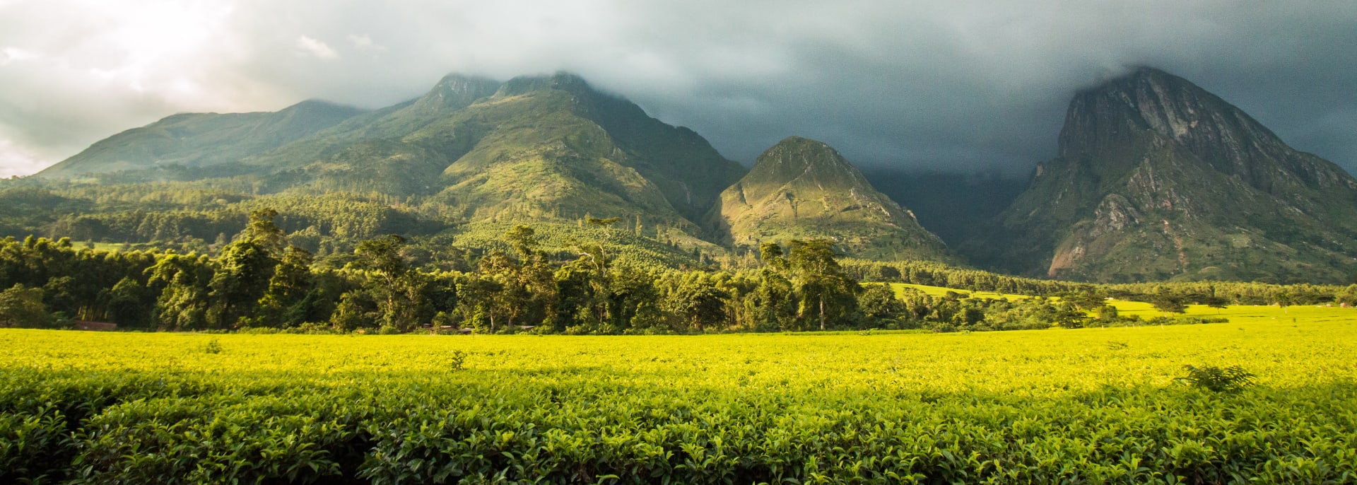 Mount Mulanje, Malawi