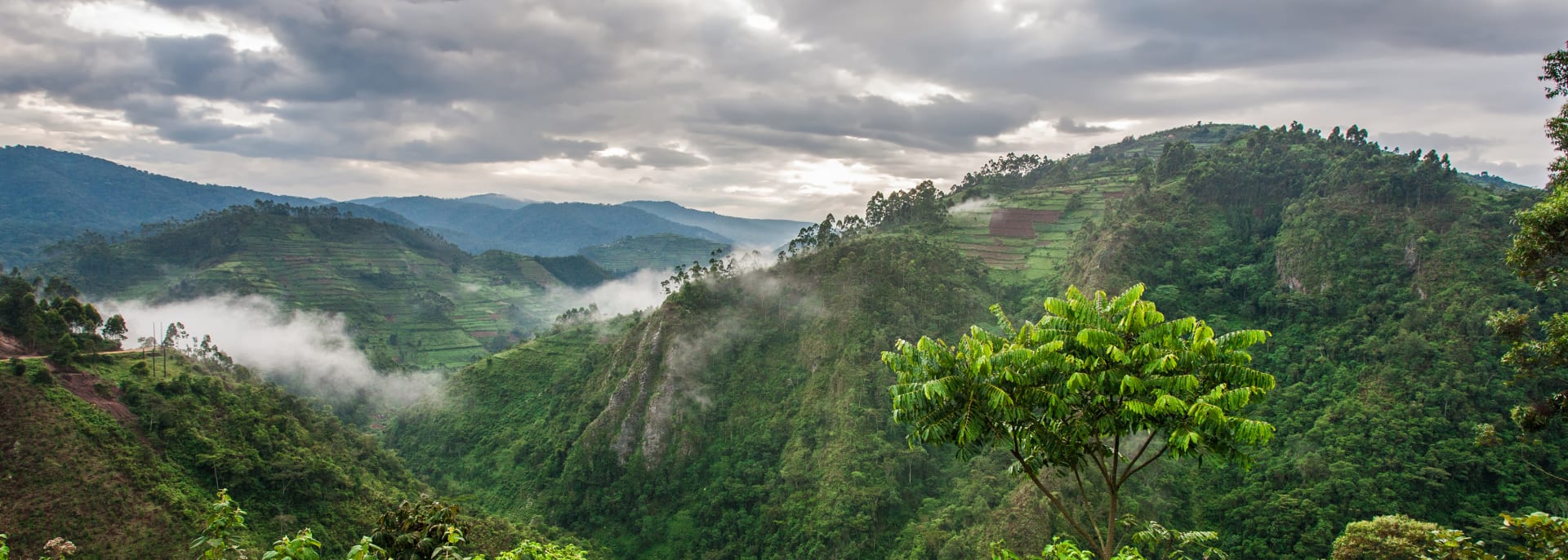 Bwindi, Ruanda