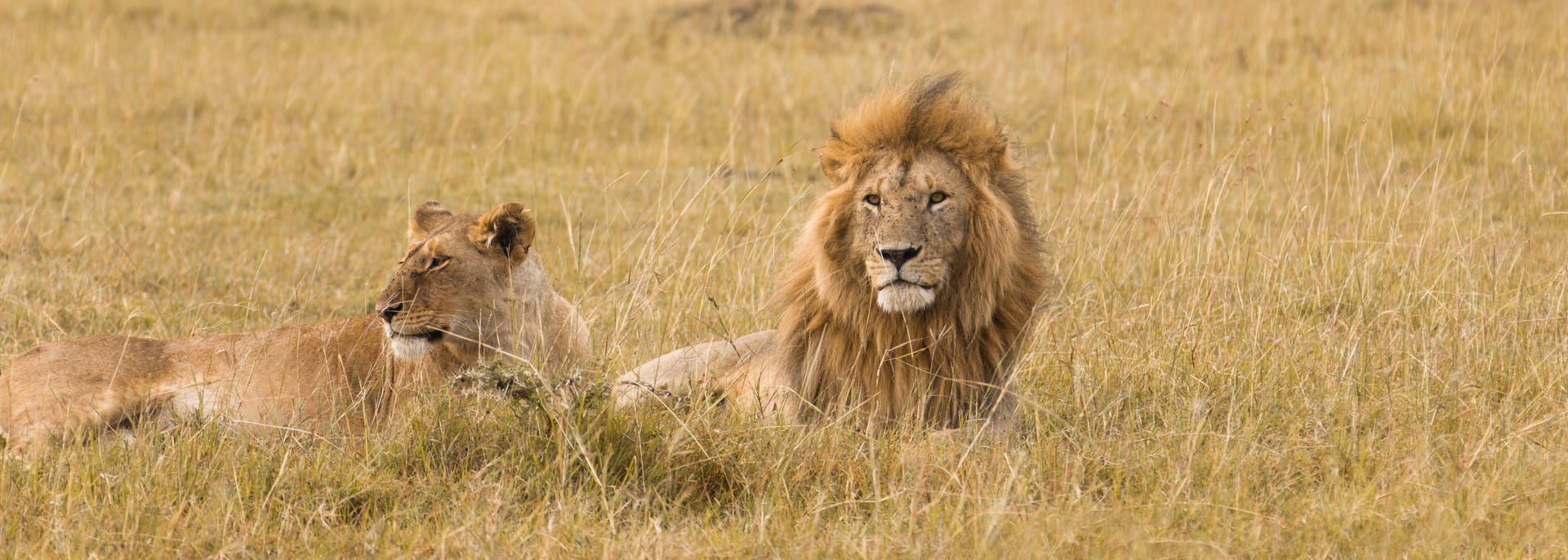 Lower Zambezi Nationalpark, Sambia/Simbabwe