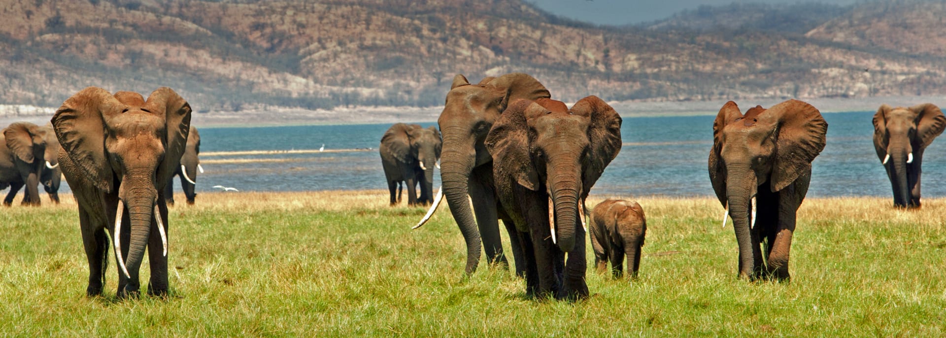 Lake Kariba, Sambia/Simbabwe