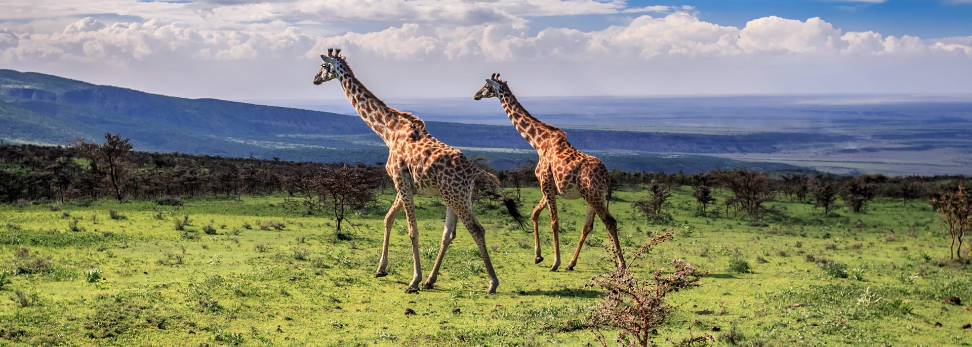 Katavi Nationalpark, Tansania/Sansibar