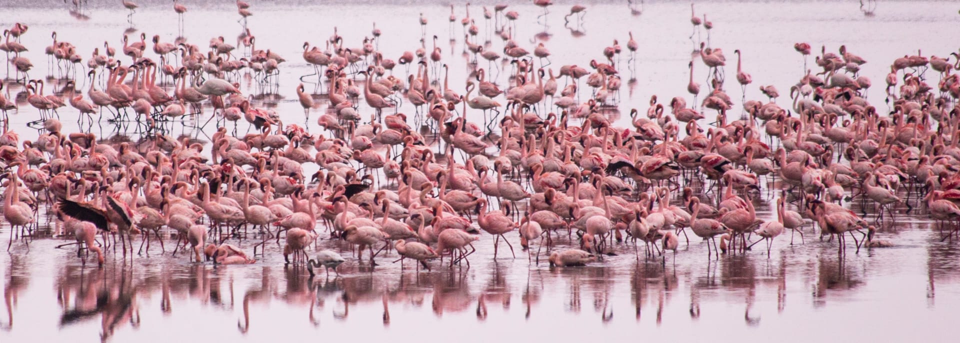 Lake Manyara, Tansania/Sansibar