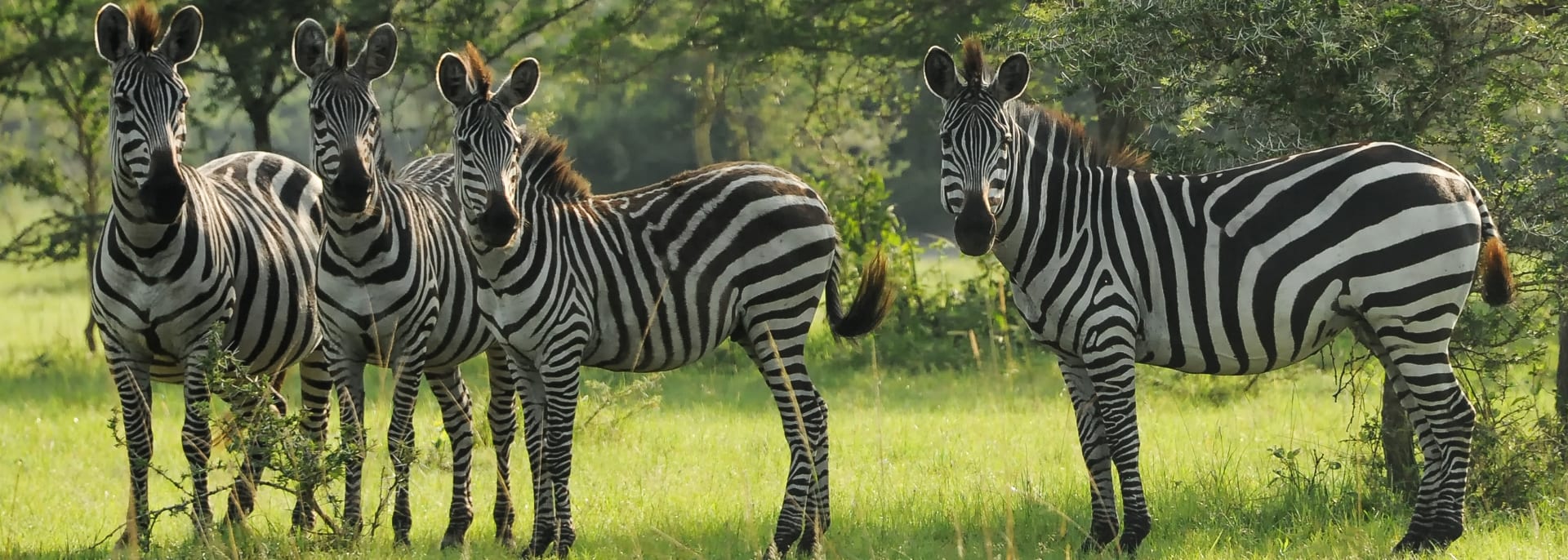 Lake Mburo Nationalpark, Uganda