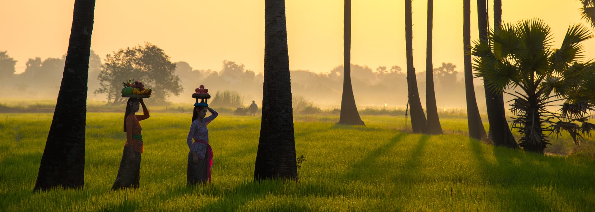 Reisfeld, Indonesien