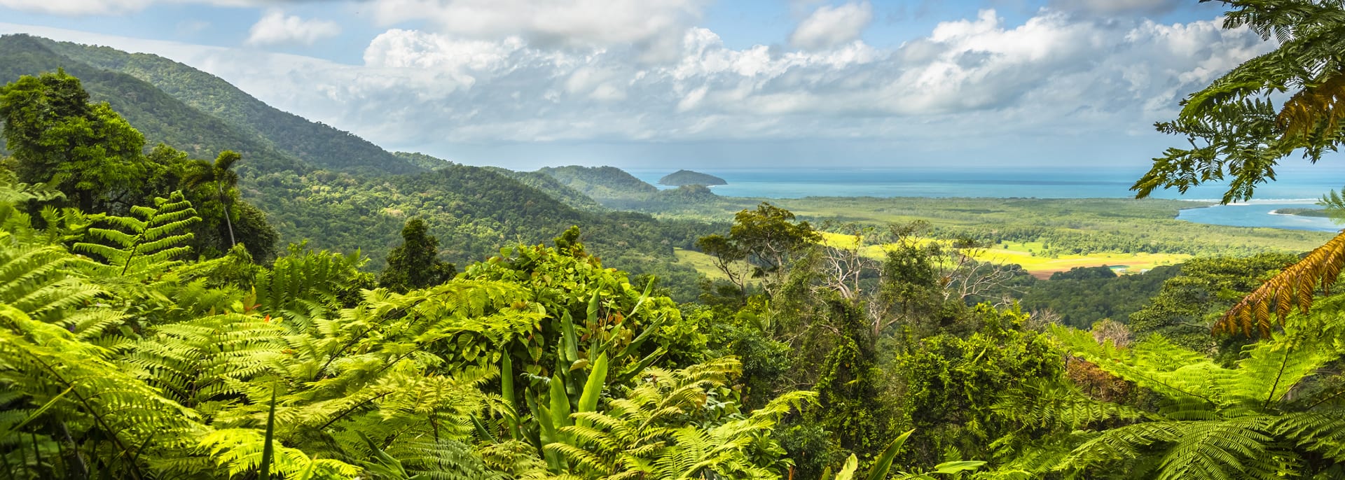 Daintree & Cape Tribulation, Australia