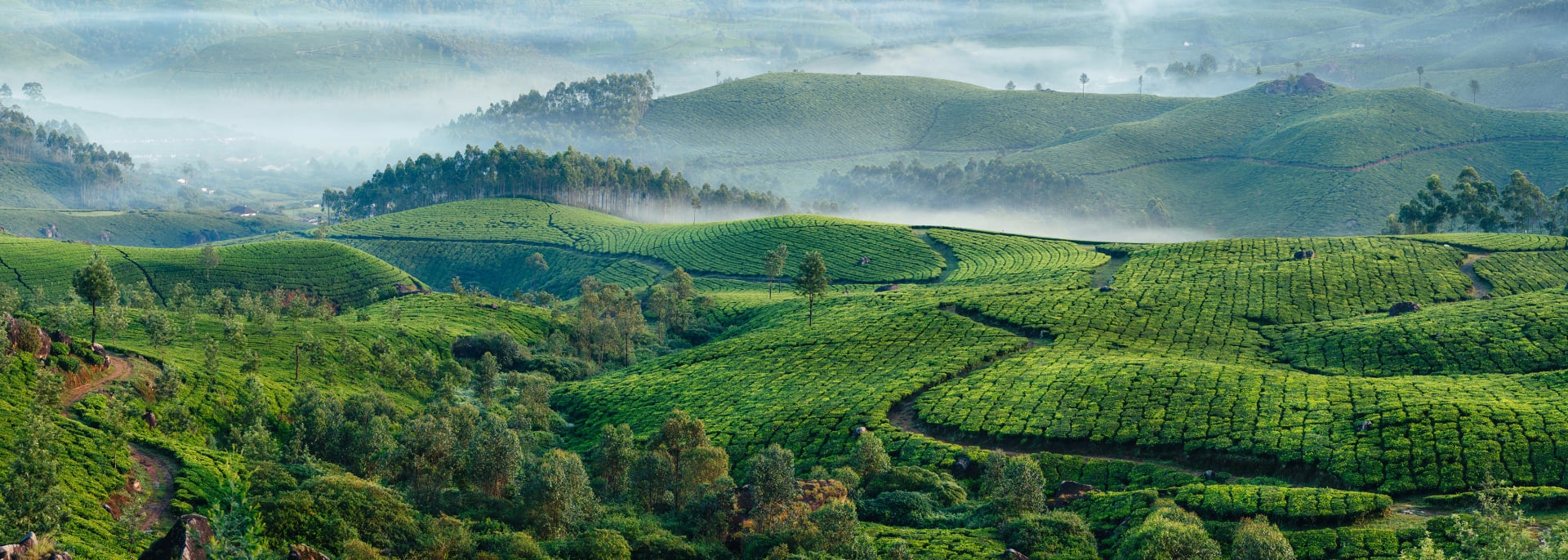 Kerala, Indien