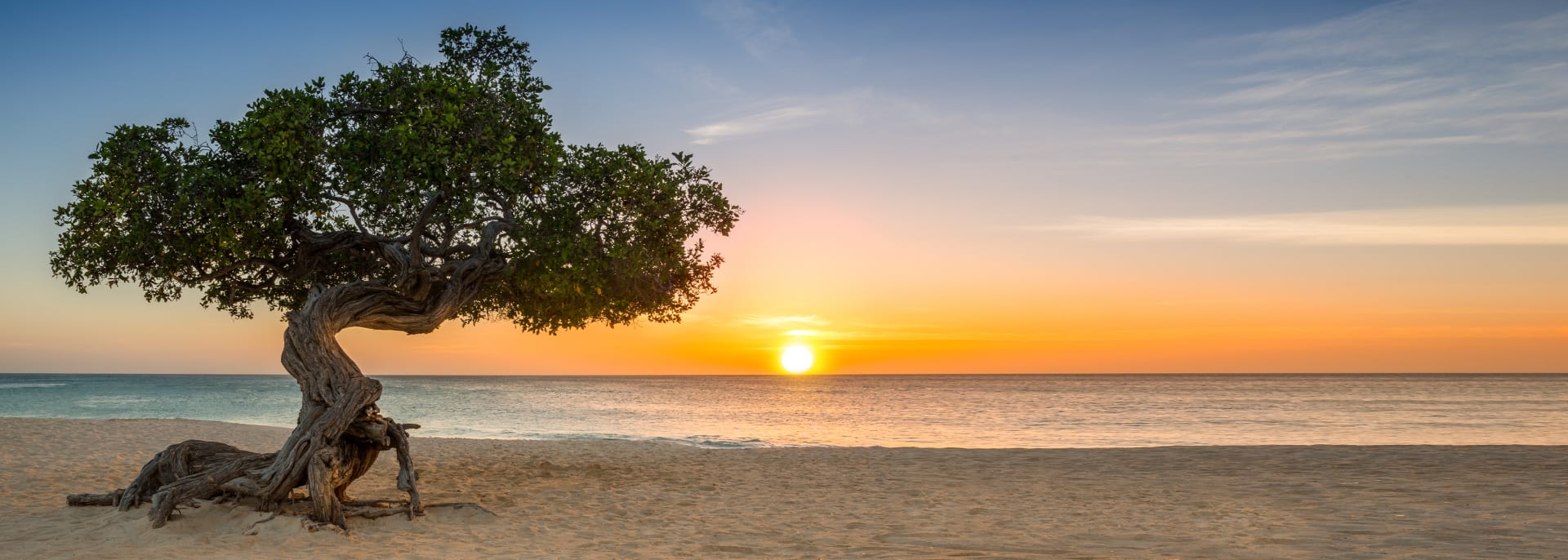 Eagle Beach, Aruba, Karibik