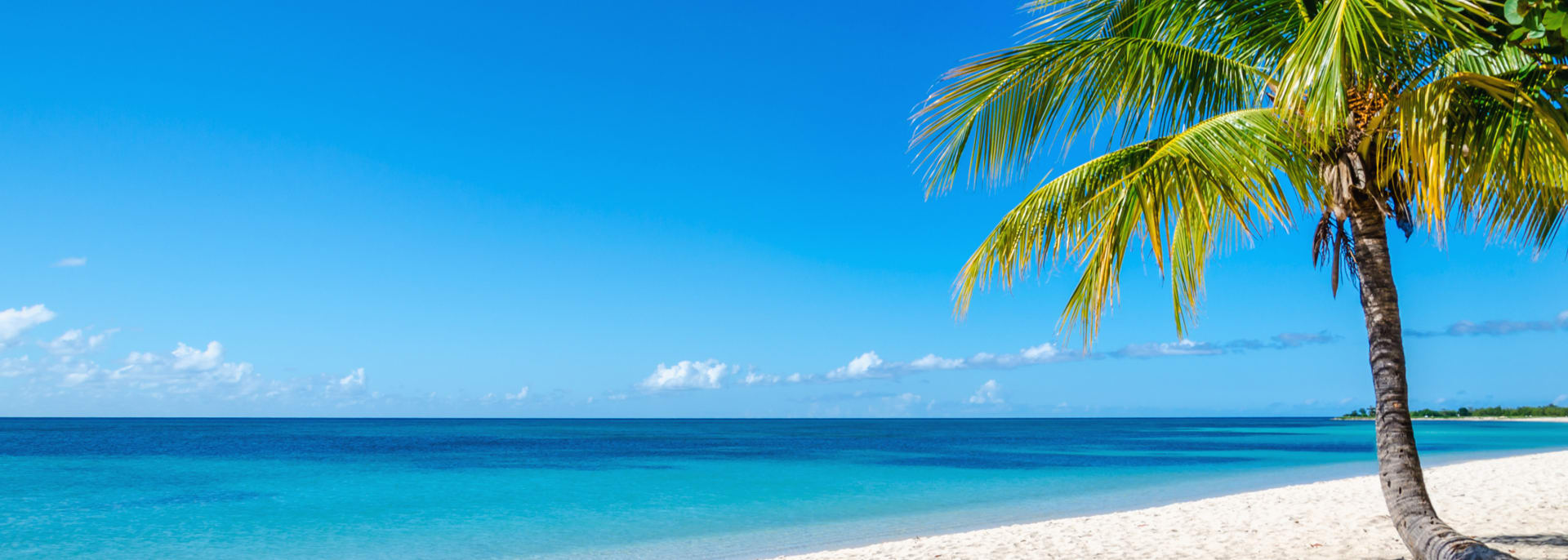 Exotischer Sandstrand mit schönen Palmen, Kuba, Karibische Inseln, Zentralamerika