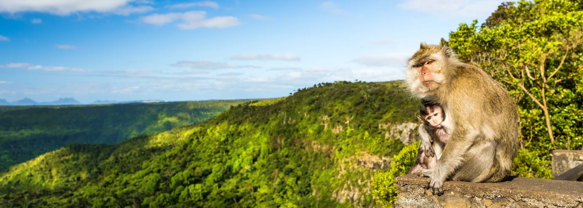 Black River Gorges Nationalpark, Mauritius