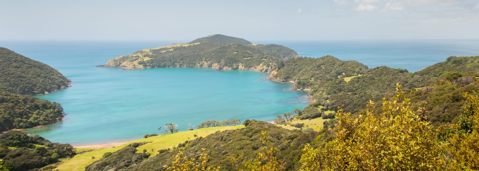 Kauri Coast, Neuseeland