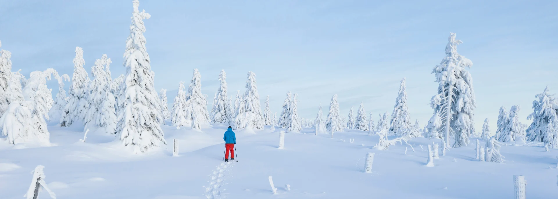 Aktivreisen, Lappland