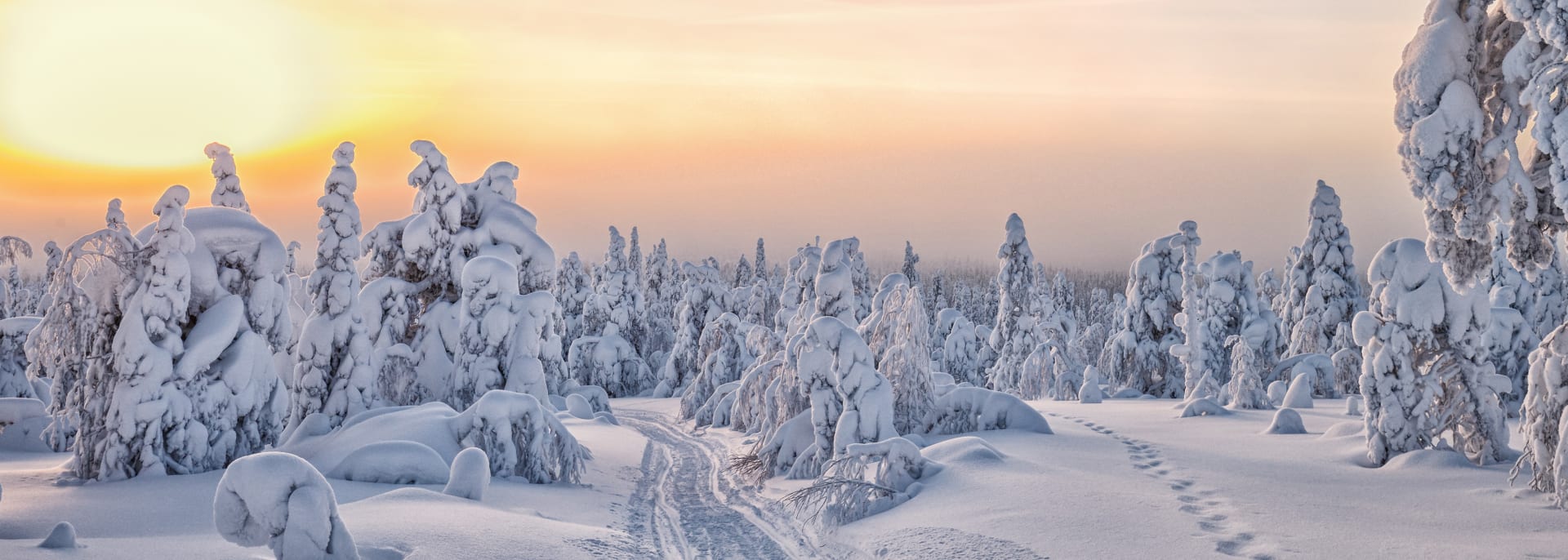 Langlauf, Lappland