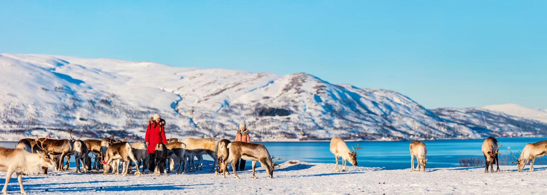 Rentier Reisen, Lappland