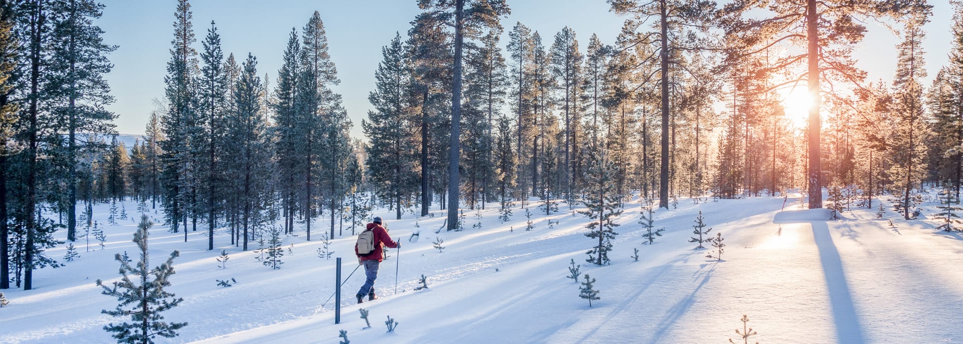 Langlauf, Schweden