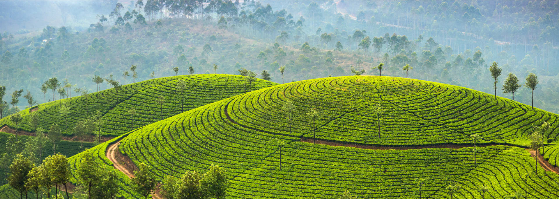 Hatton, Sri Lanka