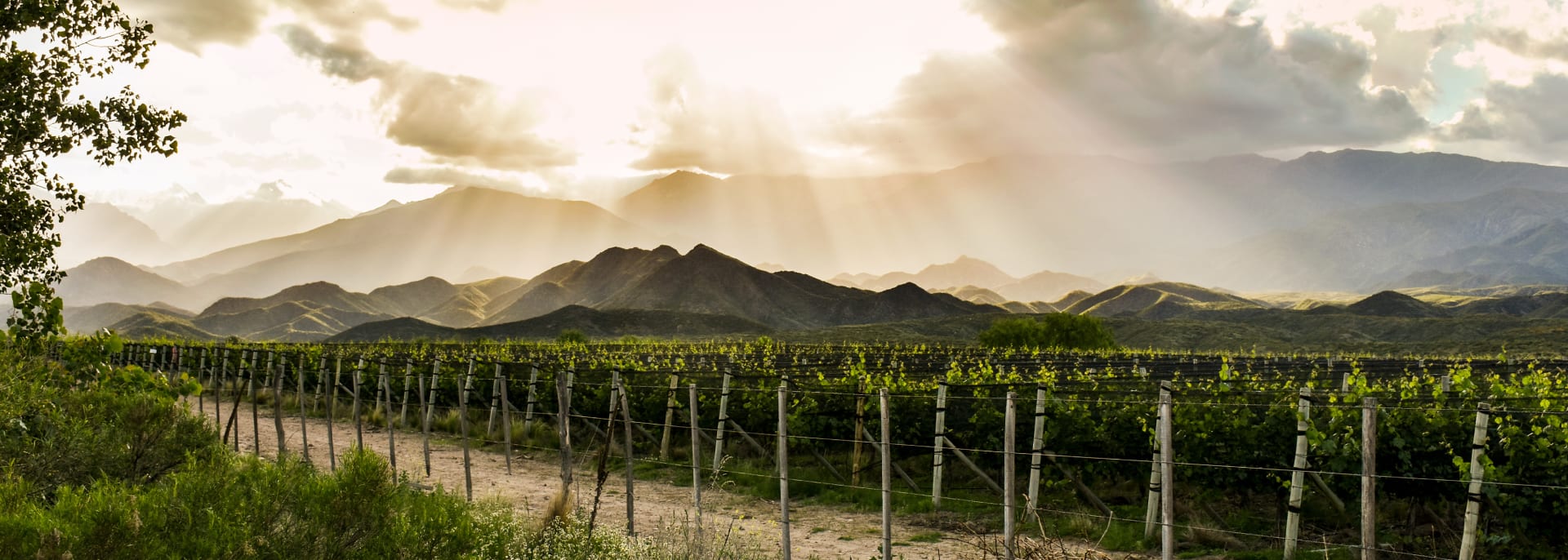 Mendoza, Argentinien