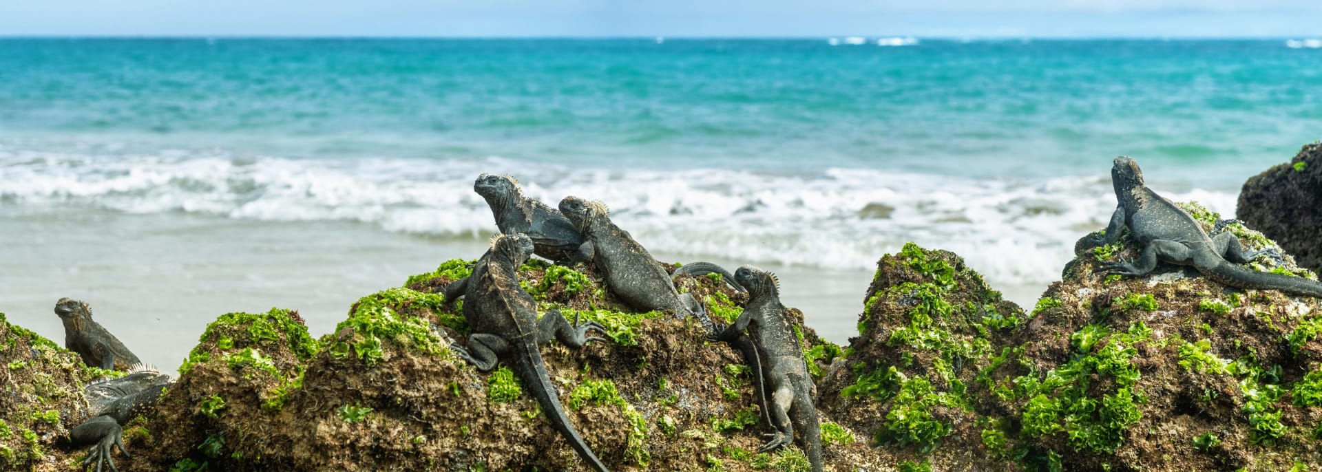 Galapagos Island, Ecuador