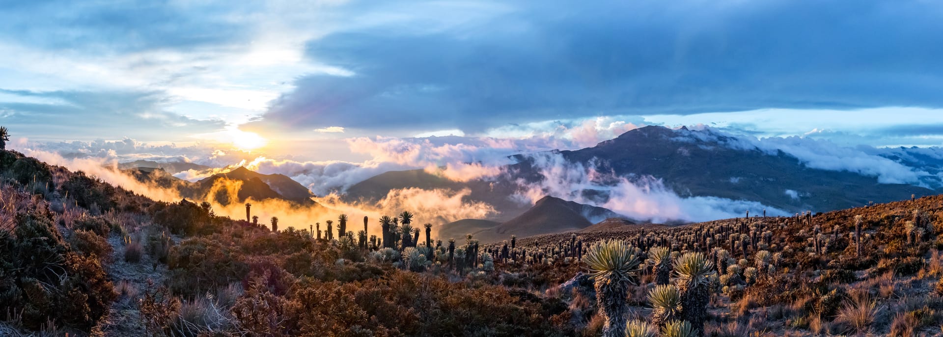 Los Nevados Nationalpark, Kolumbien